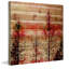 «Red Enchanted Forest» par Parvez Taj - impression sur bois-229268075