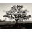 Artsy Quote "I’m not much of an actor, I’m realizing." By Nick Wechsler Gallery Wrapped Canvas-1870421674