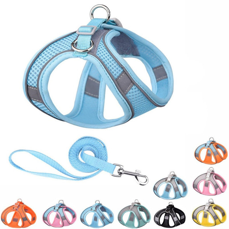 No Pull Dog Harness and Leash Set, Step in Adjustable Dog Harness with Padded Vest for All Weather, Dog Leash with Soft Padded Handle, Easy to Put on Small and Medium Dogs Pure Blue-orange M