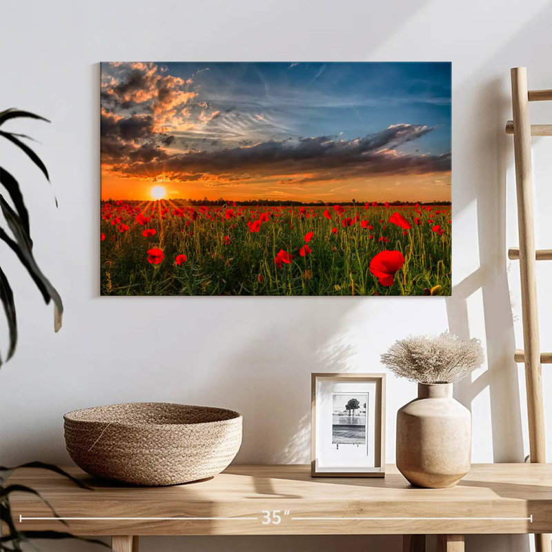 Champ de fleurs de coquelicots Alvord, H 16 po x l 24 po