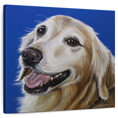 Crowle Retriever Connor