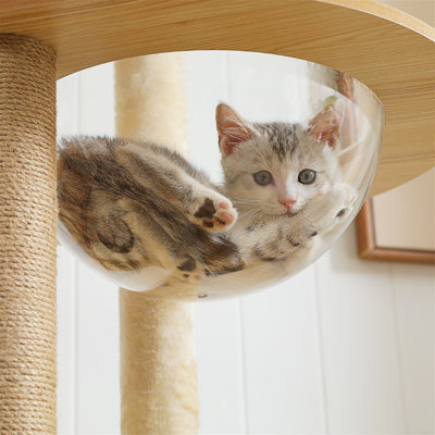Cat Tree House