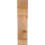 Corbeau méditerranéen-829457883-829457910-829457904