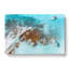 Boats in the Dominican Republic - Wrapped Canvas-55315576