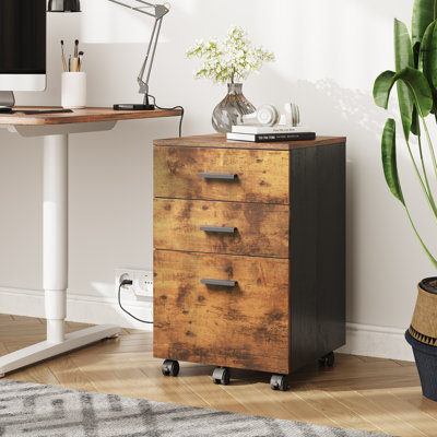 Kopelan 3-Drawer Mobile Vertical Filing Cabinet by 17 Stories