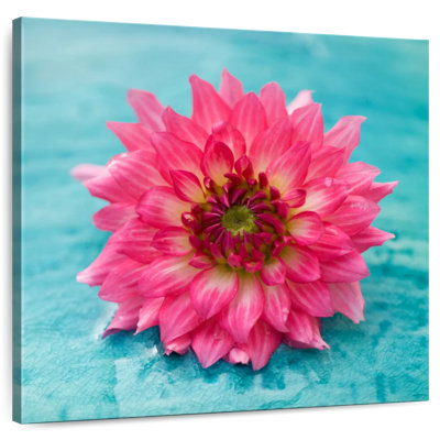 Harnek magnifique fleur rose