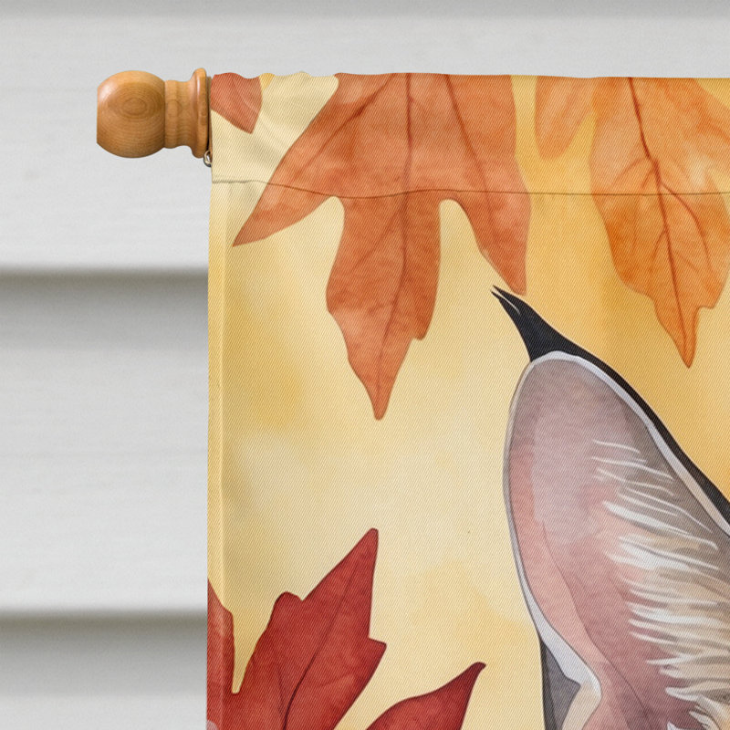 Chat en feuilles d'automne, Savannah