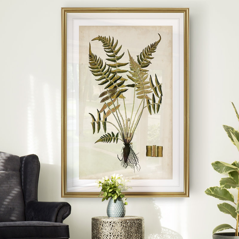 « palm botanique iv »-impression sur toile, H 18,5 po x l 24,5 po x P 1,5 po, Cadre doré