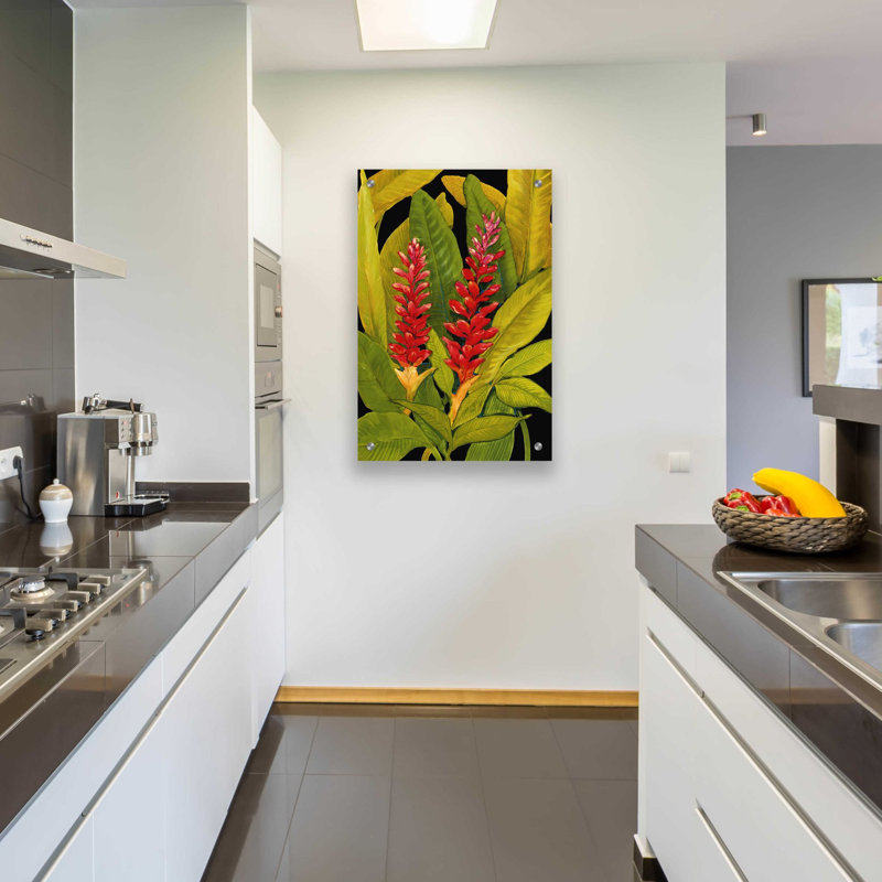 'Dramatic Red Ginger' by Tim O'Toole, Acrylic Glass Wall Art, 36" H x 24" W x 0.2" D