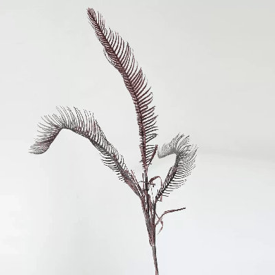 Textured Cycad Leaf Branch â€“ 37.5"