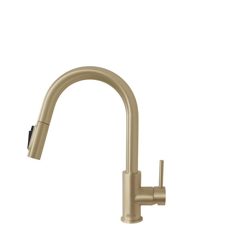 Stylish Modena Single Handle Pull Down Kitchen Faucet with Reversible Osmosis, Brushed Gold