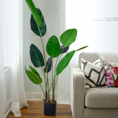 Faux Plant in Nursery Pot