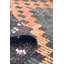 Jijim One-of-a-Kind 6'9" X 9' Area Rug