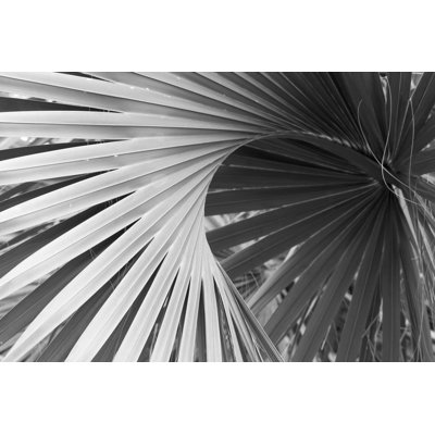 Abisai Blades of tropical plants 1 Piece Wrapped Canvas Wall Art
