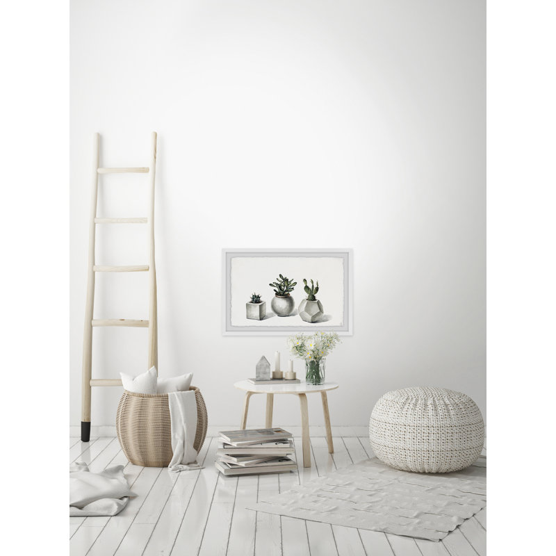 Planted Cacti - Single Picture Frame Painting, 41 cm H x 61 cm W x 3.81 cm D