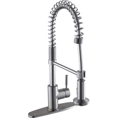 CMI Pull Down Kitchen Faucet