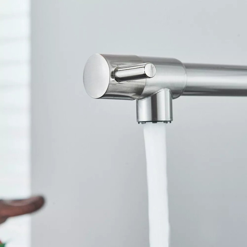 Belfry Kitchen Donnelle Pull Down Kitchen Faucet