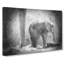Mother & Baby Elephant Together In Abstract - Wrapped Canvas-55308890