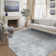 Ladonya Versatile Elegance Machine Washable Area in Light Gray