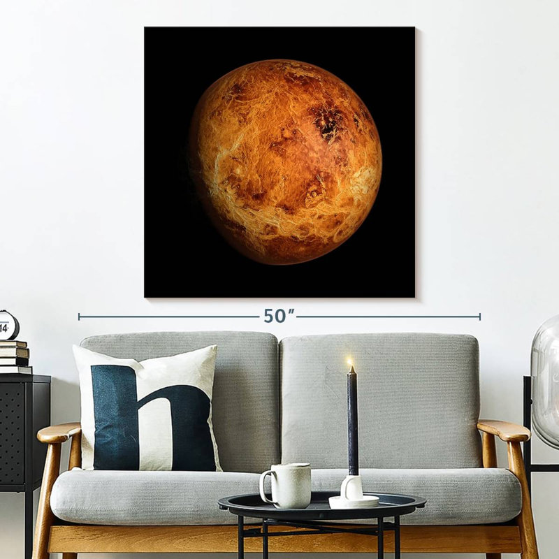 Oberle Venus Close Up, 33" H x 33" W
