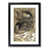 Black Framed selected