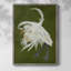 Heron Plumage II, reproduction encadrée - bois massif