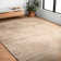 Central Jefferson Oriental Indoor Rug