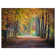 Wide Pathway in Yellow Fall Forest - Photograph Print
