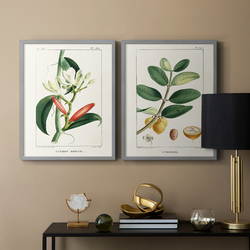 Reproduction encadrée Turpin Tropical Botanicals IX-Premium - prête à être accrochée, H 15 po x l 24 po, Vert