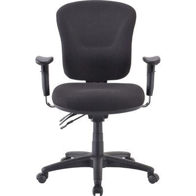 Pasca Polyester Blend Task Chair
