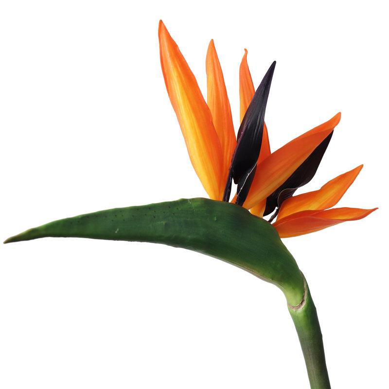 33" Tall Artificial Bird of Paradise