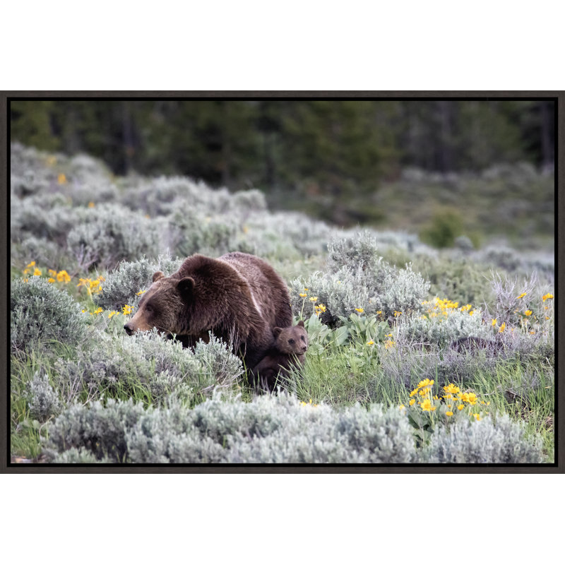 Premier printemps par Curt & Stacy Howell - photographie sur toile, Image au gel brossé, H 25,75 po x l 37,75 po