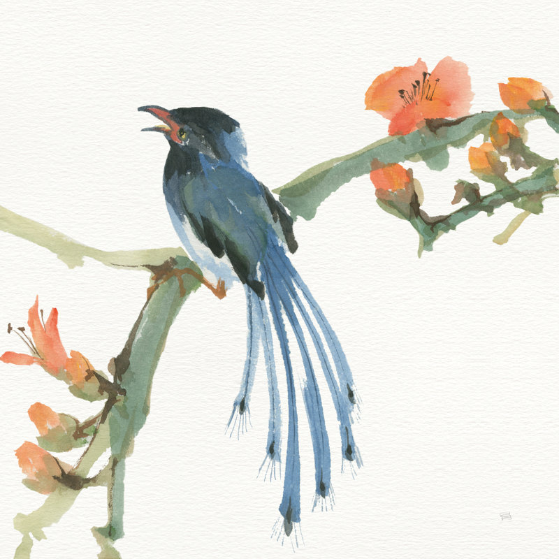 " Formosan Blue Magpie " by Chris Paschke Painting Print, 12" H x 12" W 