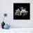 Modern & Contemporary-18515804-74417155-74417156