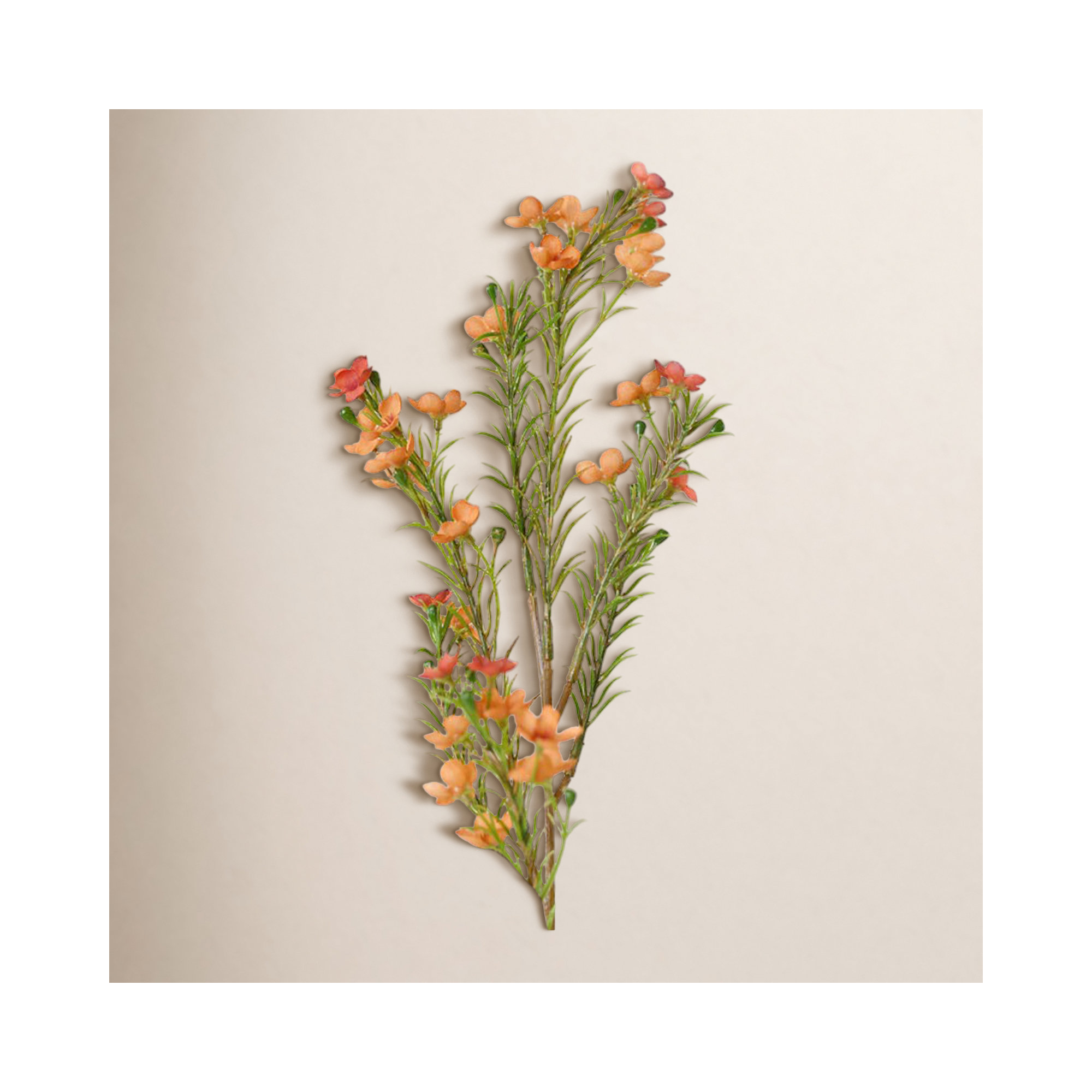 Creamy White Silk Decorative Artificial Wax flower, Orange