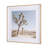 Joshua Tree 1 by THE Studio a Framed Art Print Matted under Glass