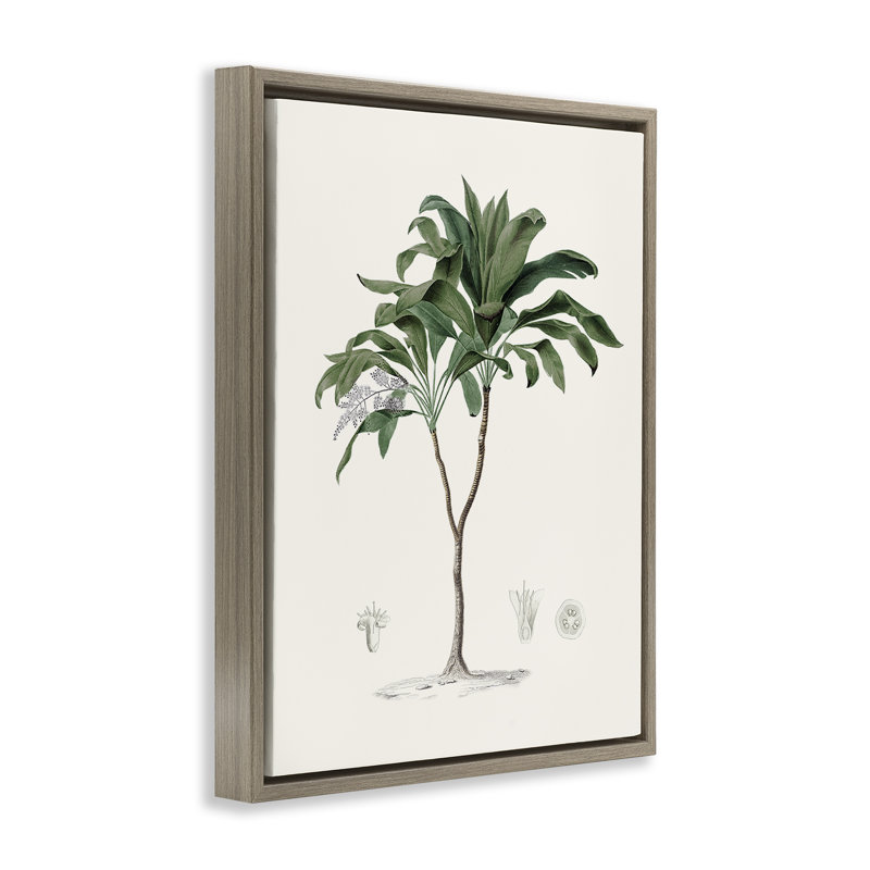 Cadre flottant rétro avec étude de palmiers, design par CAD, H 31 po x l 25 po, Cadre flottant orme Montalcino
