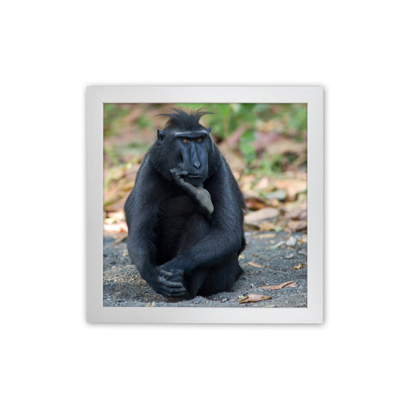 Thinker by Karsten Wrobel - Print on Canvas, 46cm H x 34cm W x 3cm D, White Framed