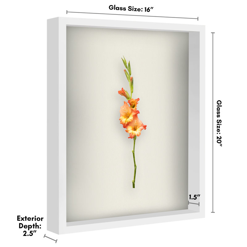 Delcastillo Shadowbox 1.5” Deep Box Frame for Objects with Glass Front, White, 16" x 20"