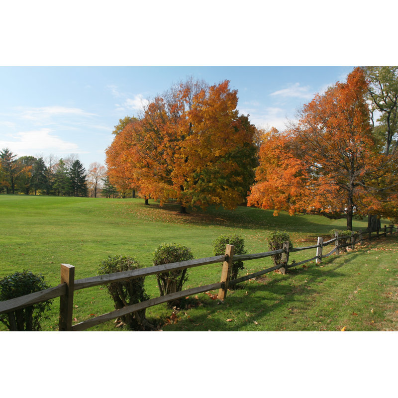 Autumn Field by StanRohrer - No Frame Print on Canvas, 51cm H x 76cm W