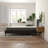 8" Daisy Firm Memory Foam Mattress With Edge Support And Air Grid-974552452
