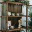 Bois massif + vitrines en verre