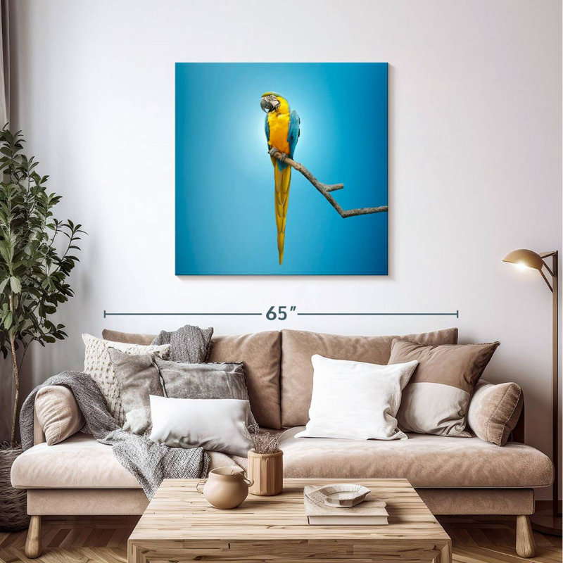 Macaw, 39" H x 39" W