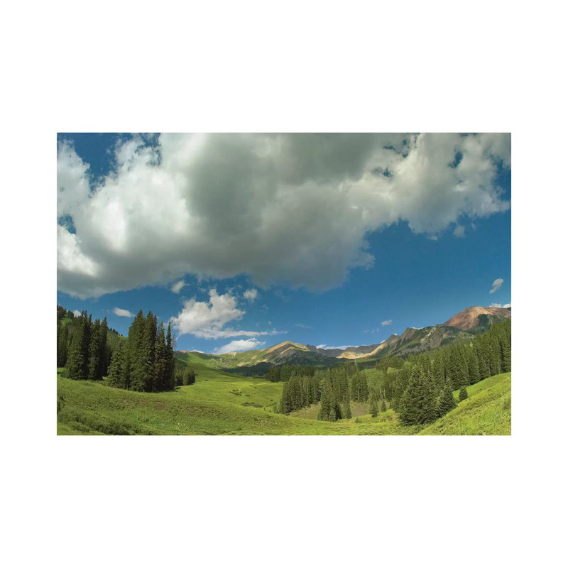 Stand Of Conifers In The Elk Mountains Near Crested Butte, Colorado by Tim Fitzharris - Wrapped Canvas Gallery-Wrapped Canvas Giclée