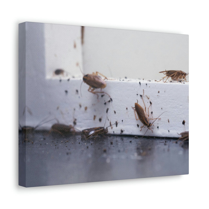 No Frame Print on Canvas, 30.48cm H x 40.64cm W