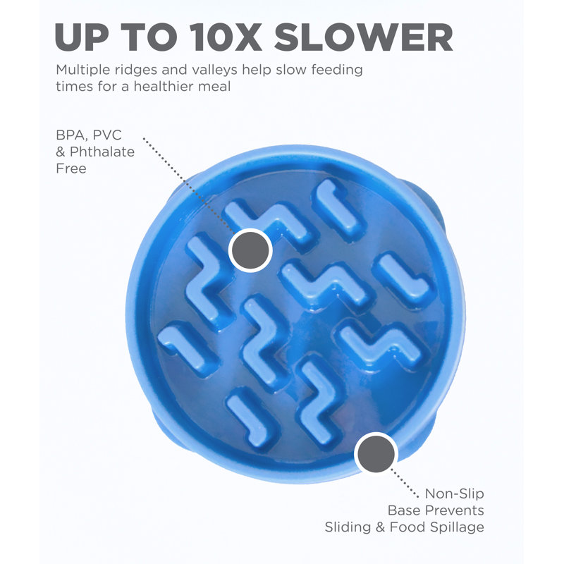 Blue Non-Slip Medium Slow Feeder Dog Bowl