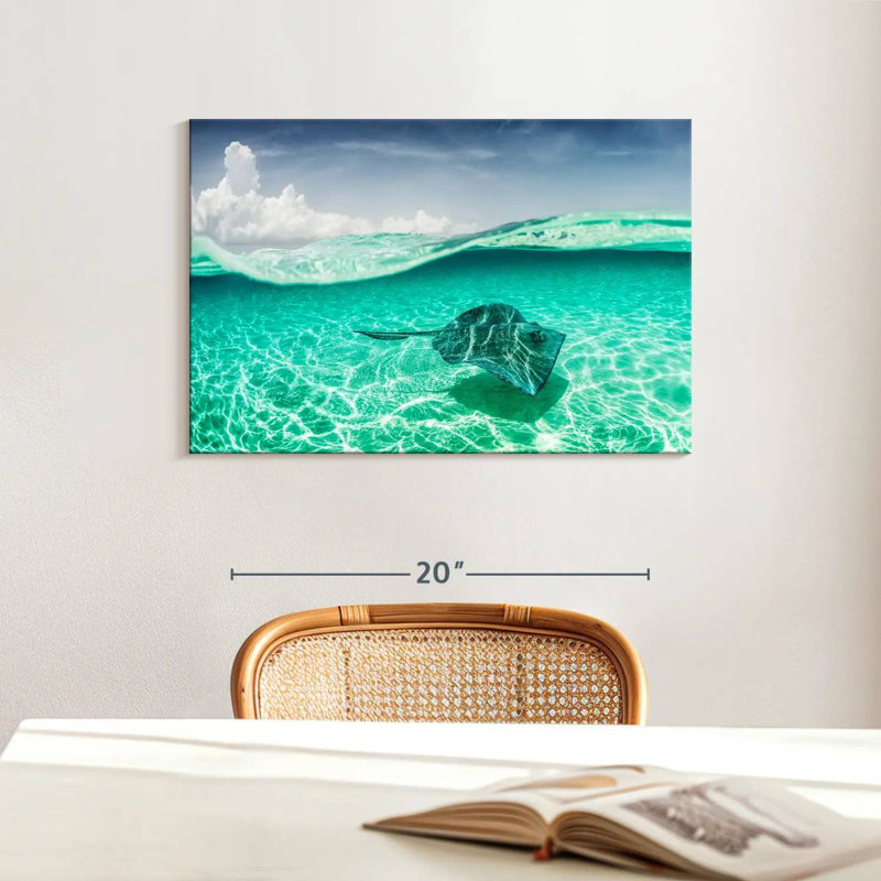 Brama Manta Ray sous l'eau, H 16 po x l 24 po