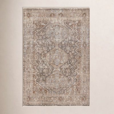 Clemente Oriental Indoor Rug