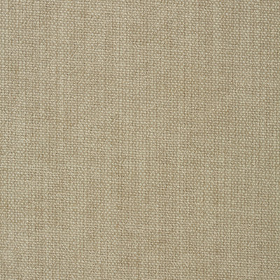 Performance Crypton Home Fabric