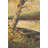 Loom Woven Cotton Blend Wall Hanging-20552148